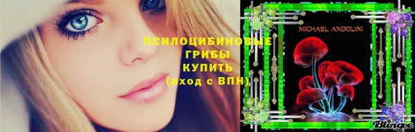 тгк Бронницы