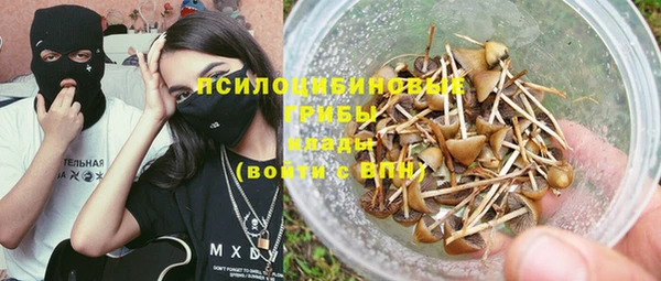 дживик Михайловск